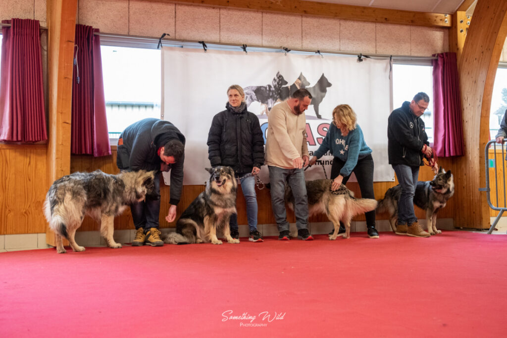 20230304_NE-Mouroux_2048_157.res