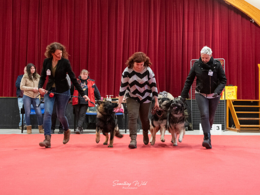 20230304_NE-Mouroux_2048_160.res