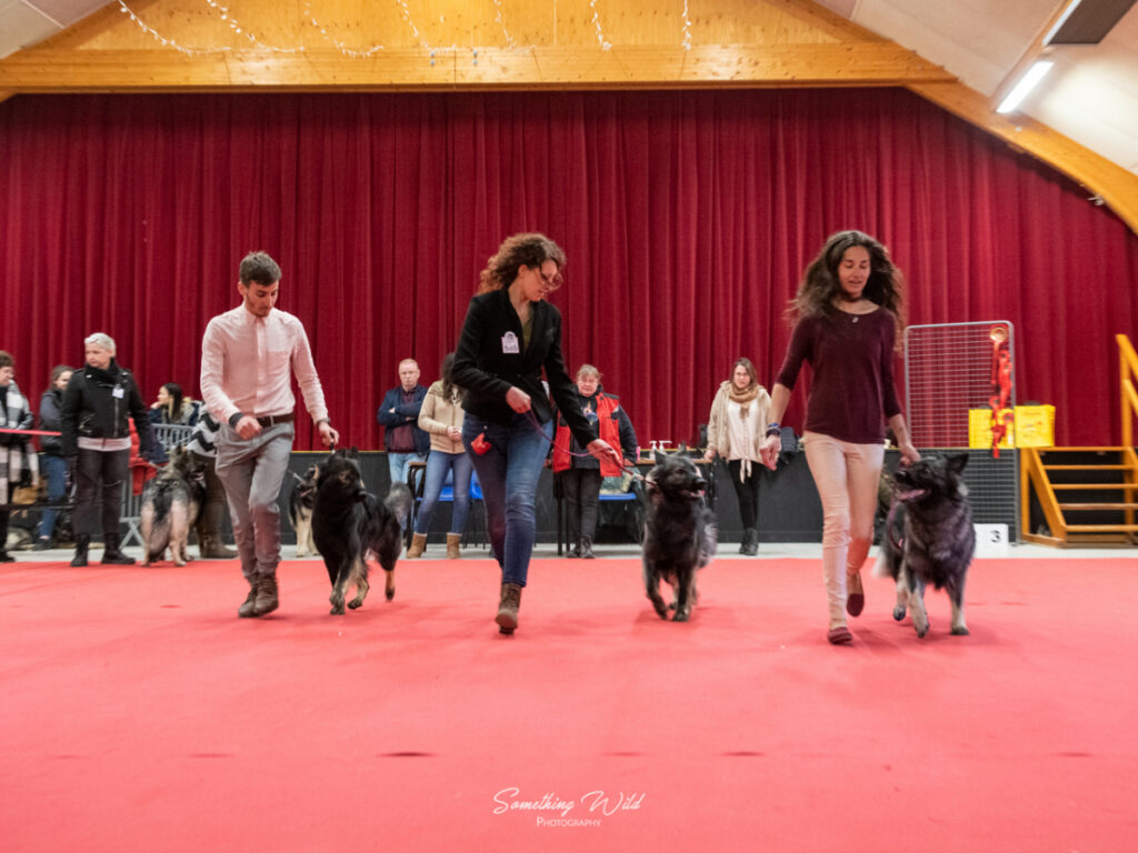 20230304_NE-Mouroux_2048_161.res