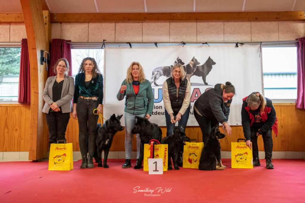 20230304_NE-Mouroux_2048_162.res