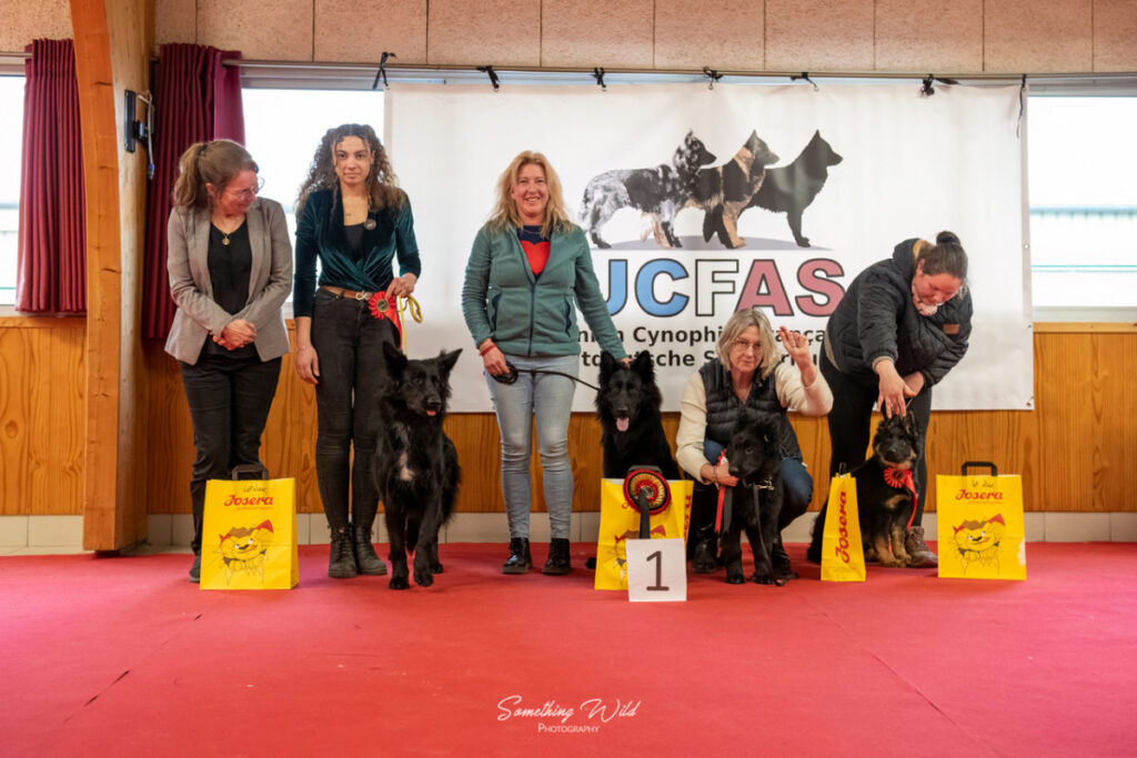20230304_NE-Mouroux_2048_163.res