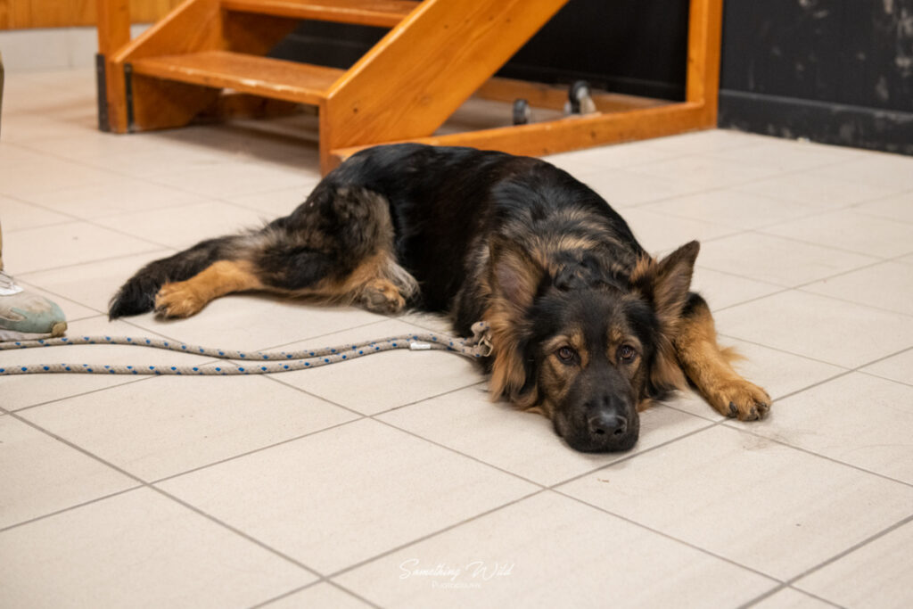 20230304_NE-Mouroux_2048_164.res