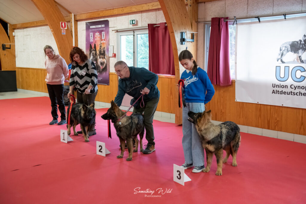 20230304_NE-Mouroux_2048_3.res