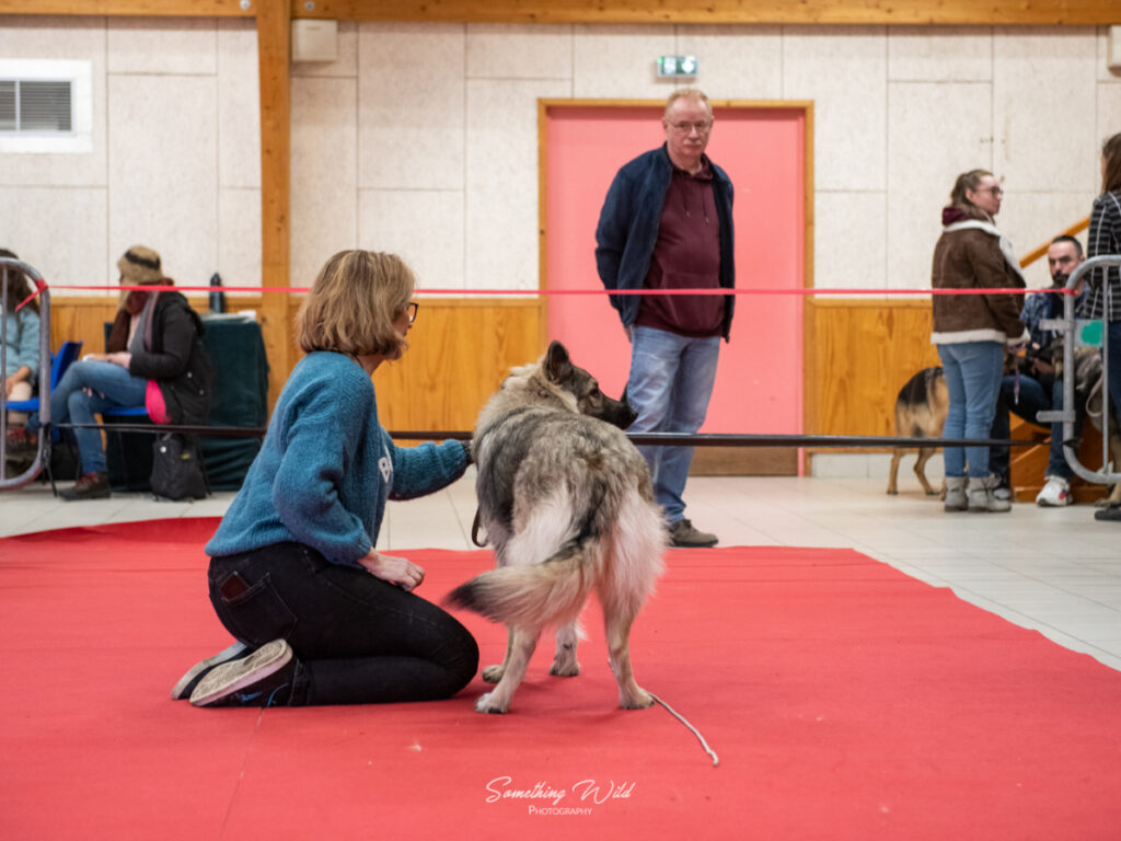 20230304_NE-Mouroux_2048_34.res