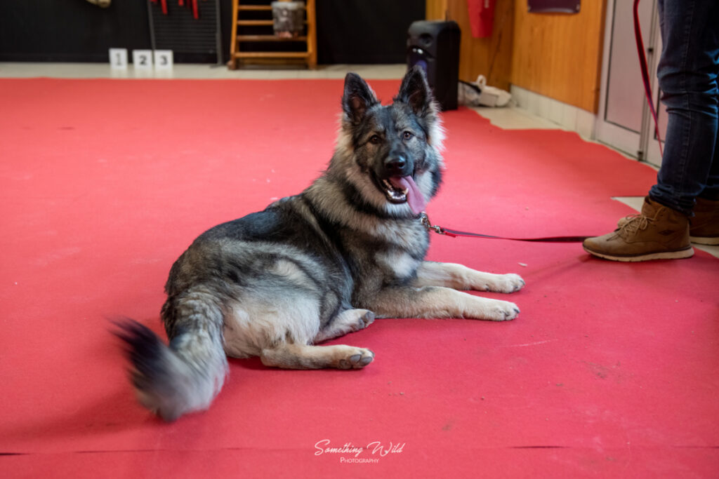 20230304_NE-Mouroux_2048_36.res