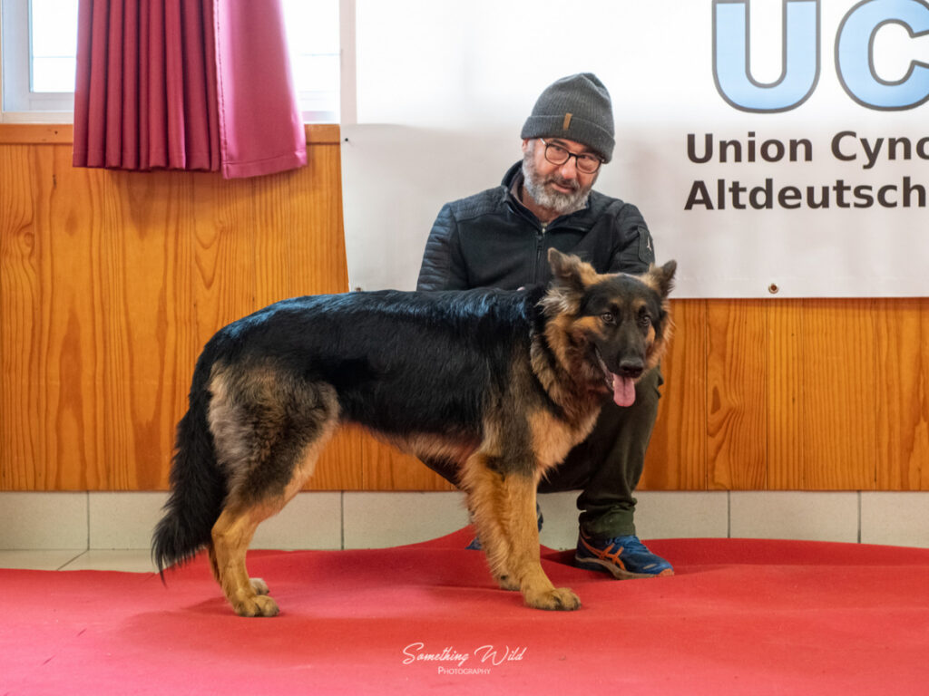 20230304_NE-Mouroux_2048_4.res