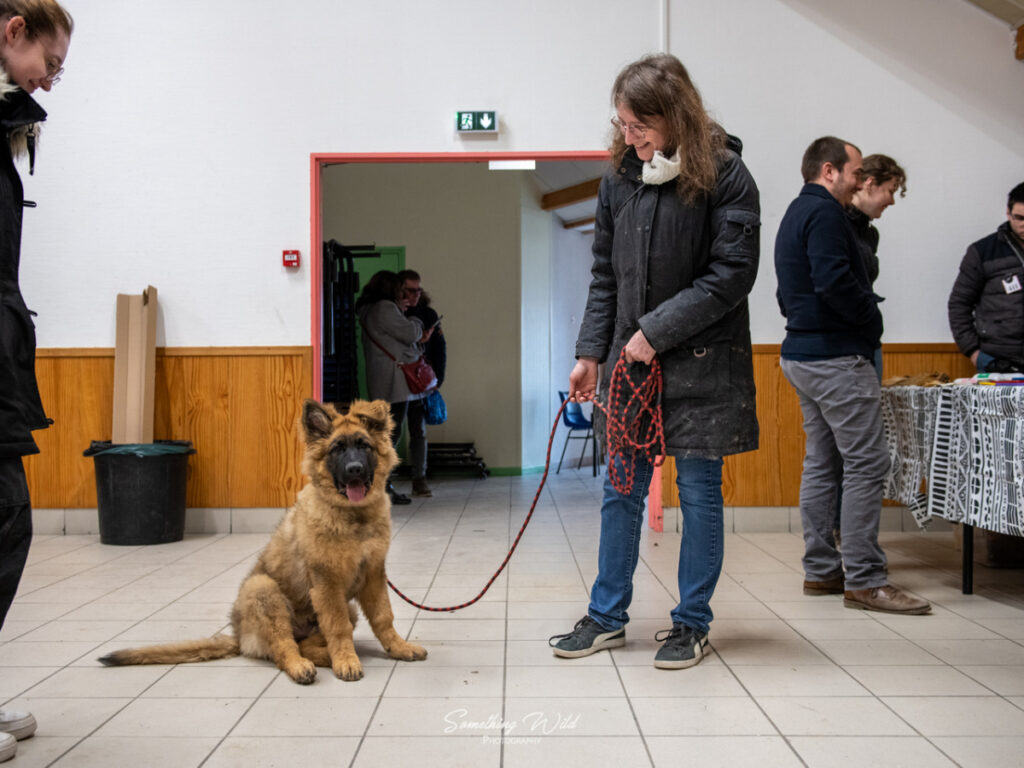 20230304_NE-Mouroux_2048_62.res
