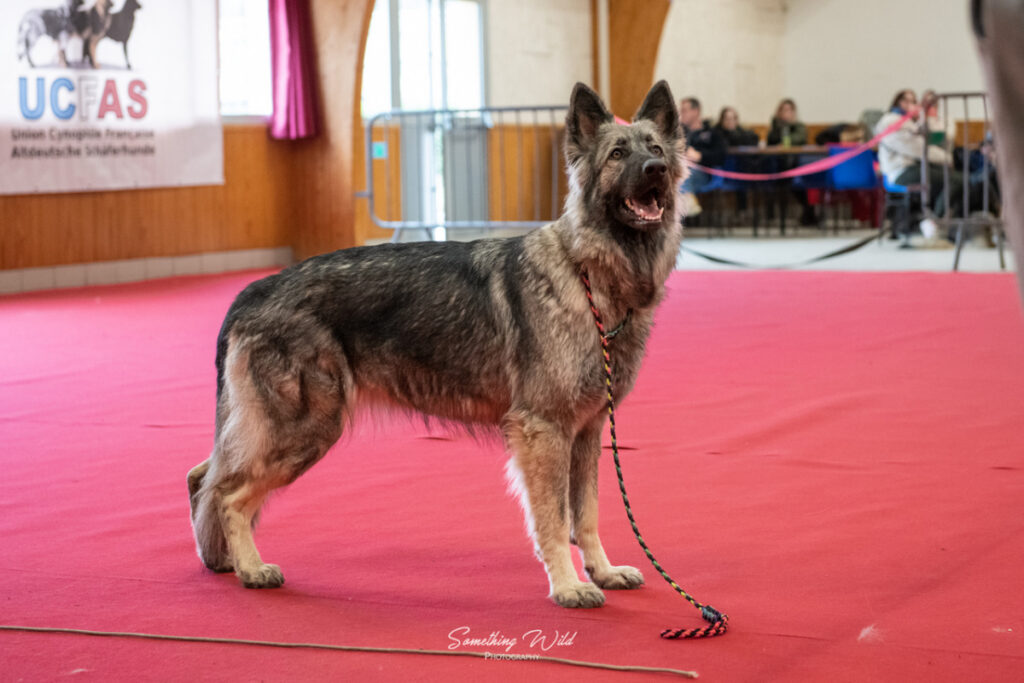 20230304_NE-Mouroux_2048_72.res