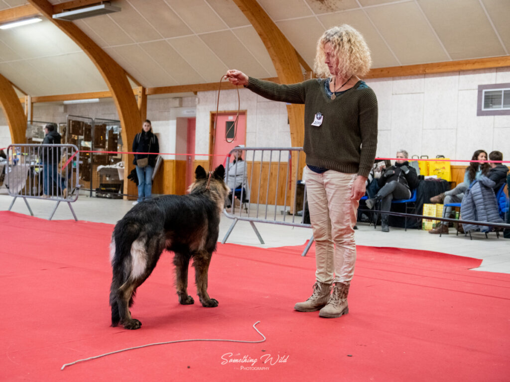 20230304_NE-Mouroux_2048_76.res