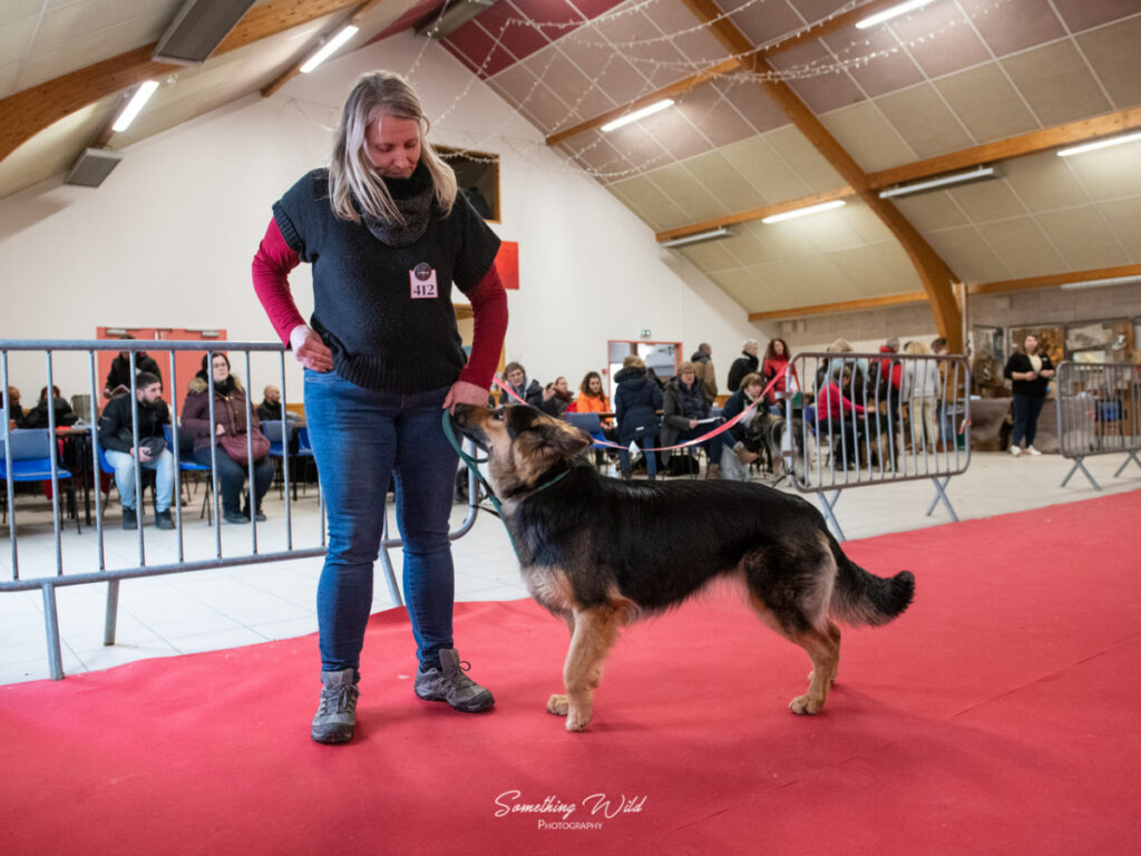 20230304_NE-Mouroux_2048_83.res
