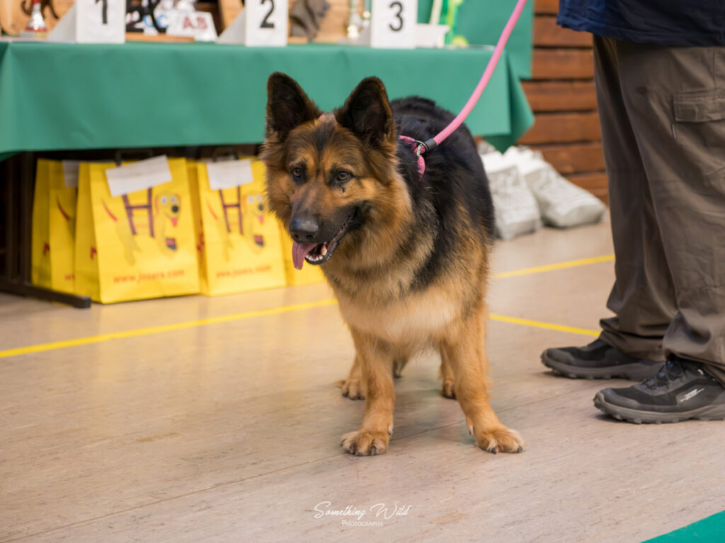 20230520_NE-Oberhaslasch_1