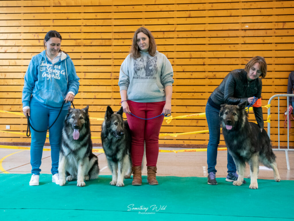 20230520_NE-Oberhaslasch_107
