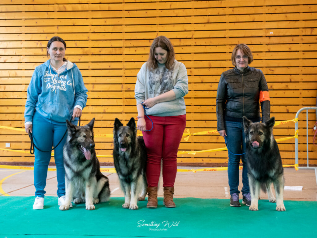 20230520_NE-Oberhaslasch_108