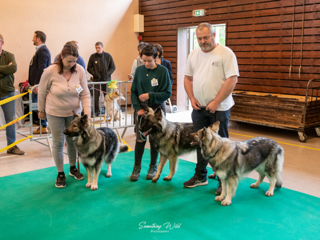 20230520_NE-Oberhaslasch_112