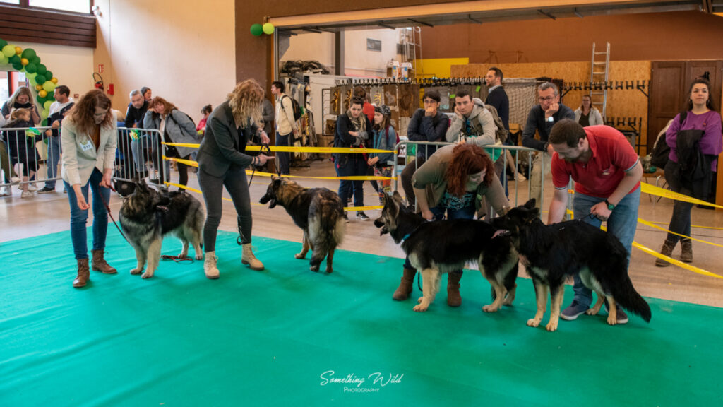 20230520_NE-Oberhaslasch_113