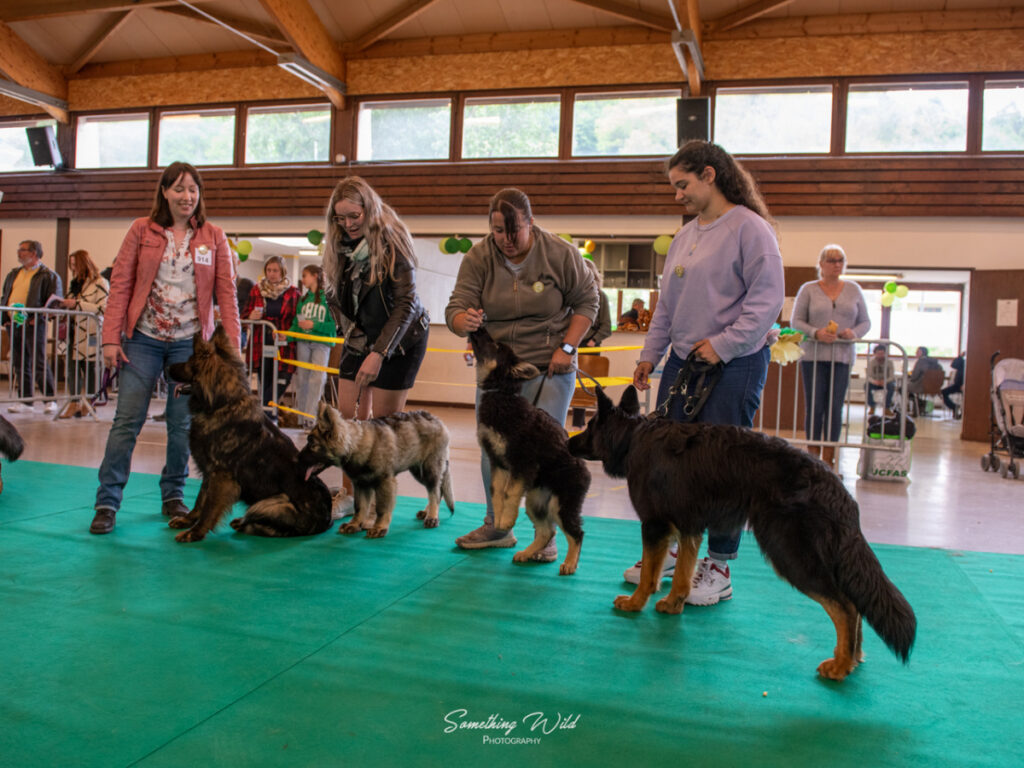 20230520_NE-Oberhaslasch_114