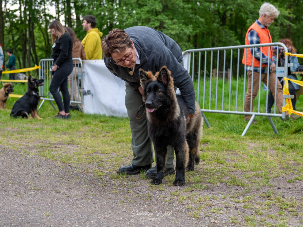 20230520_NE-Oberhaslasch_19