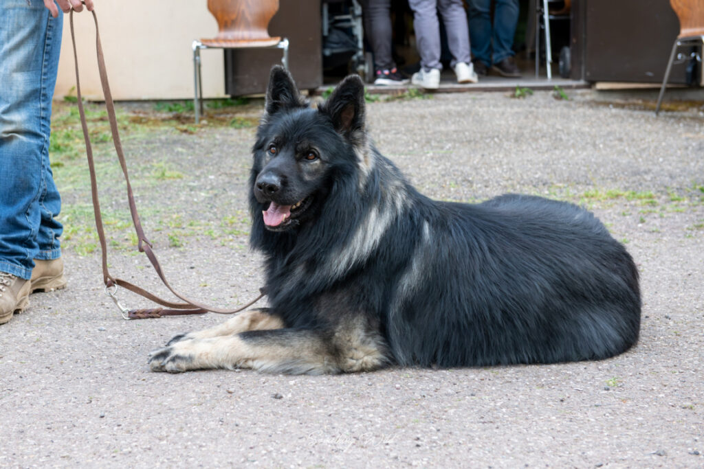 20230520_NE-Oberhaslasch_42