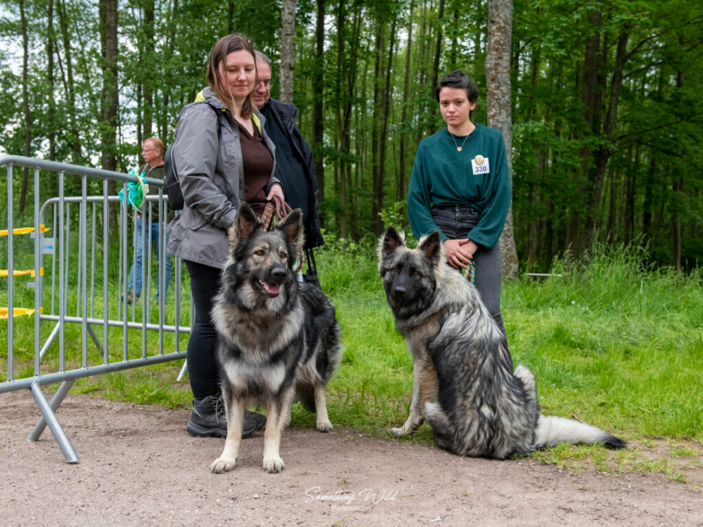 20230520_NE-Oberhaslasch_80