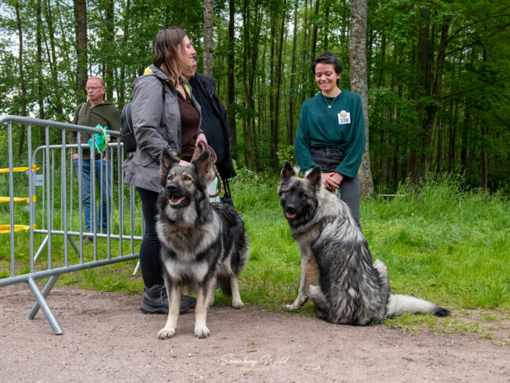 20230520_NE-Oberhaslasch_81