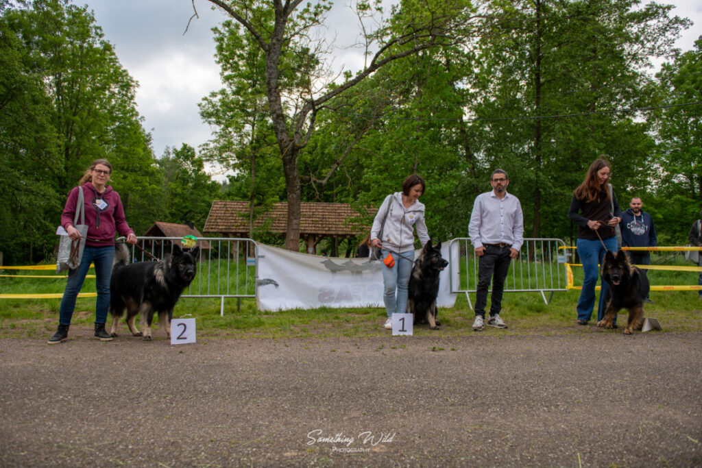 20230520_NE-Oberhaslasch_88