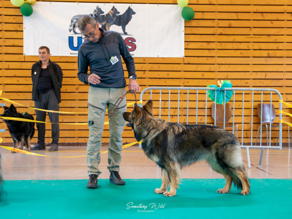 20230520_NE-Oberhaslasch_93
