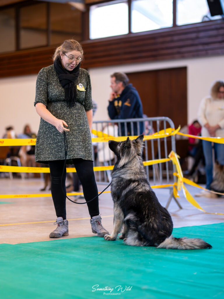 20241124_NE-Oberhaslash_720p_129