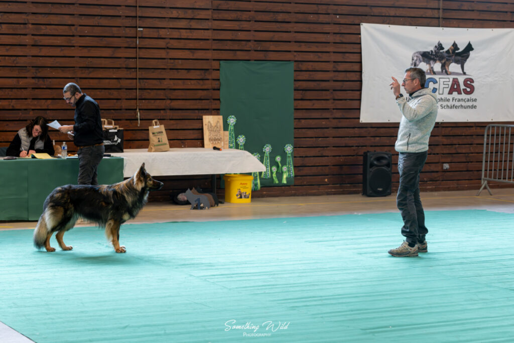20241124_NE-Oberhaslash_720p_157