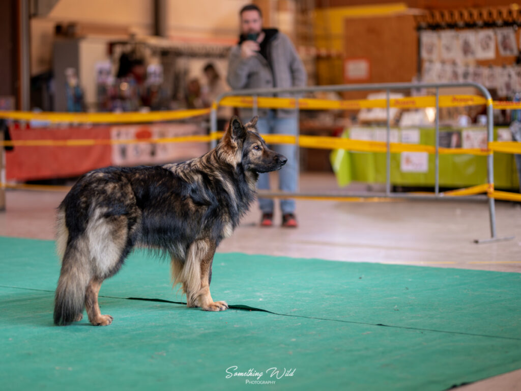 20241124_NE-Oberhaslash_720p_159