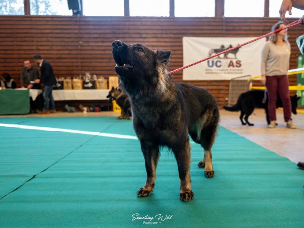 20241124_NE-Oberhaslash_720p_18