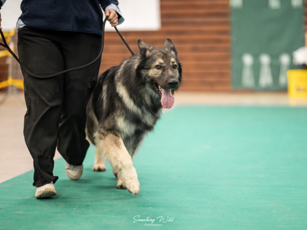 20241124_NE-Oberhaslash_720p_208