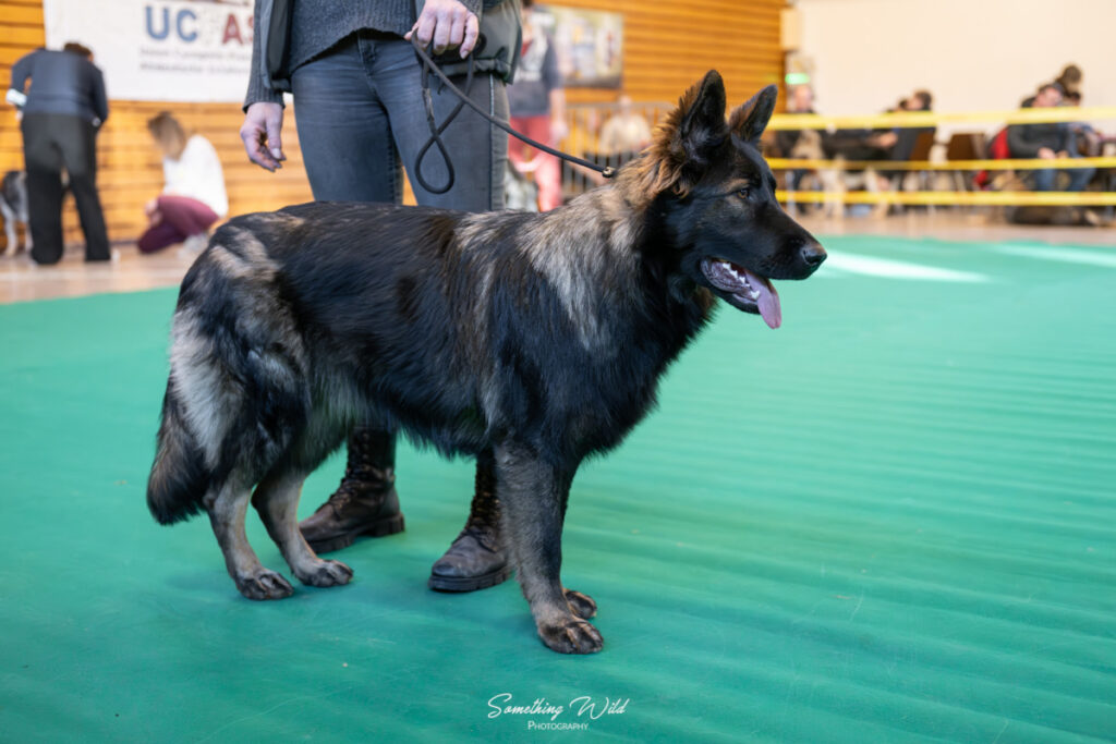 20241124_NE-Oberhaslash_720p_33