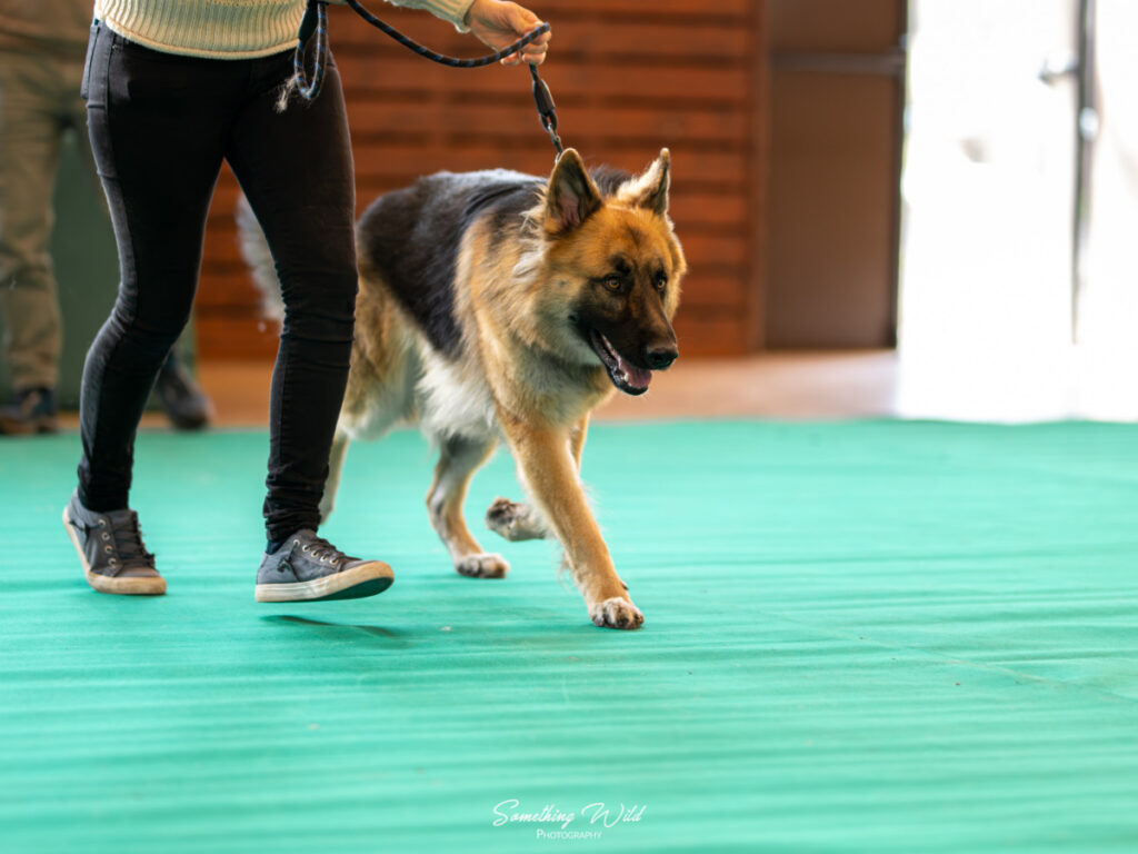 20241124_NE-Oberhaslash_720p_83