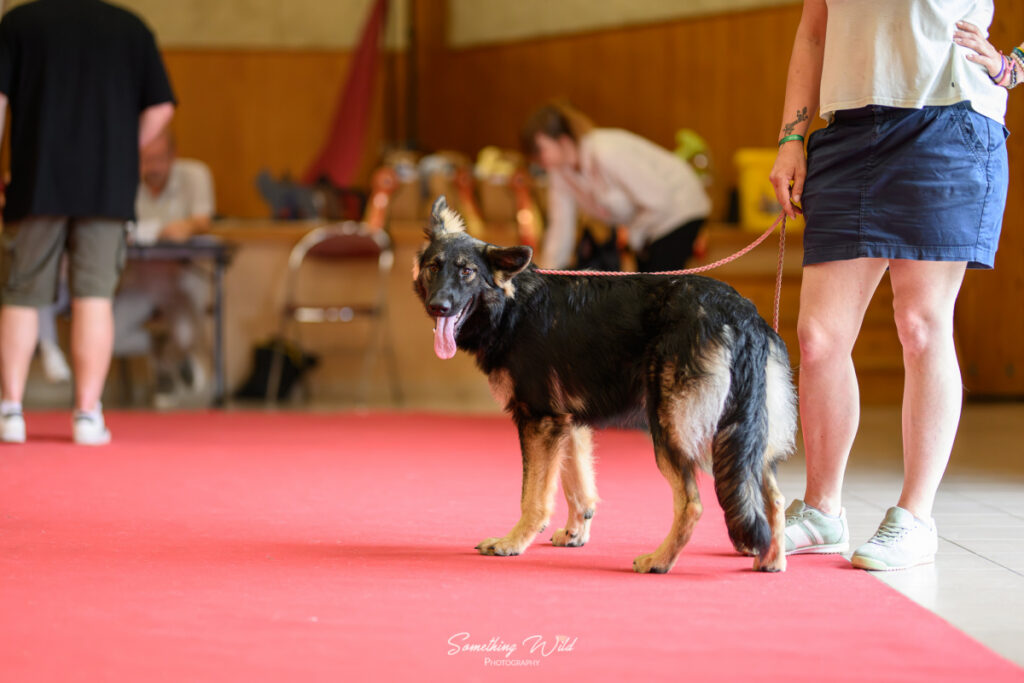 20250614_UCFAS_RE-2_2048p_20