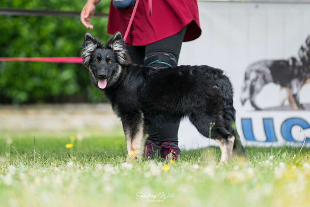 20250614_UCFAS_RE-2_2048p_31
