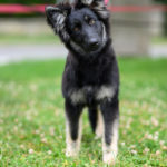 20250614_UCFAS_RE-2_2048p_45