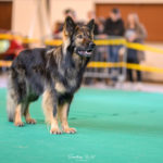 20251115_UCFAS_2048p_113