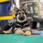 20251115_UCFAS_2048p_12