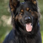 484842701_950287357088197_7435369736403144976_n