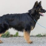 485173816_950287553754844_3765133403314113603_n