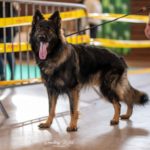 487306147_1069471795206755_1419413073242779448_n