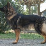 5205b712-3332-4145-8842-8be57fad9359