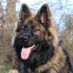 558888944_10229880346008548_3438290956569116238_n