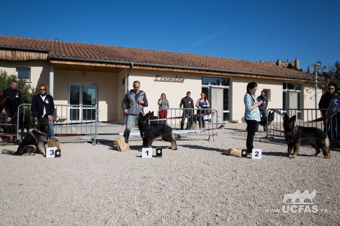 Classe Jeune Mâles