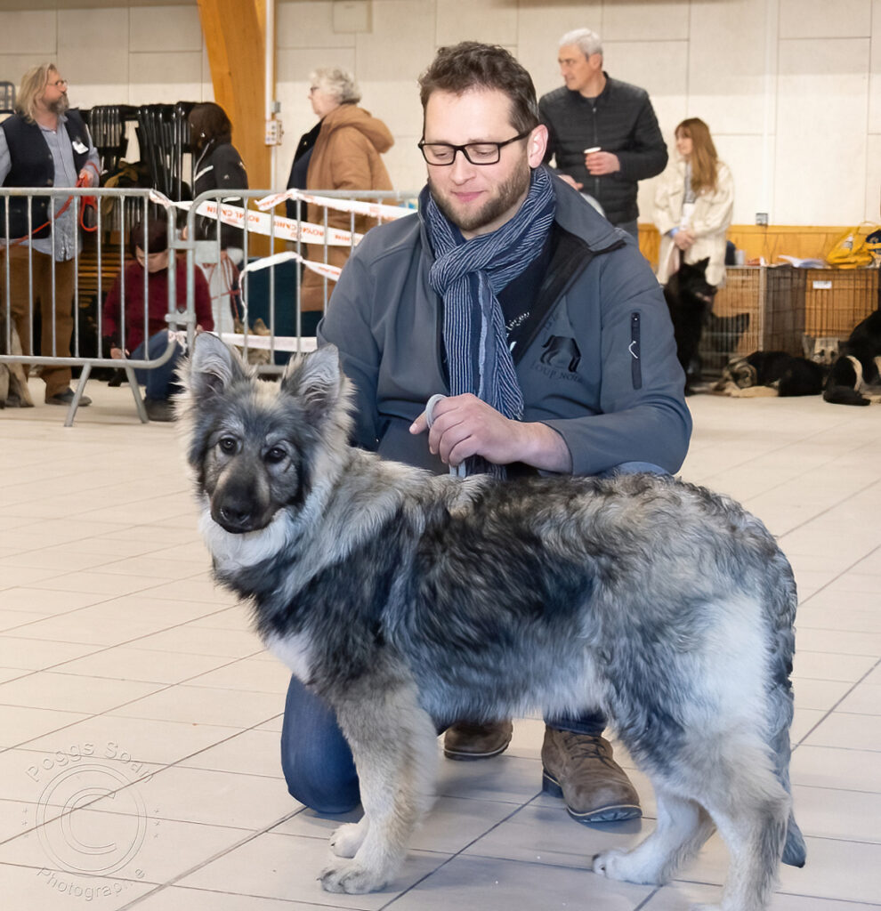 8U8A1243 copie-denoise-standard