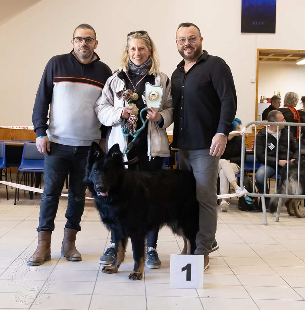 8U8A1345 copie-denoise-standard