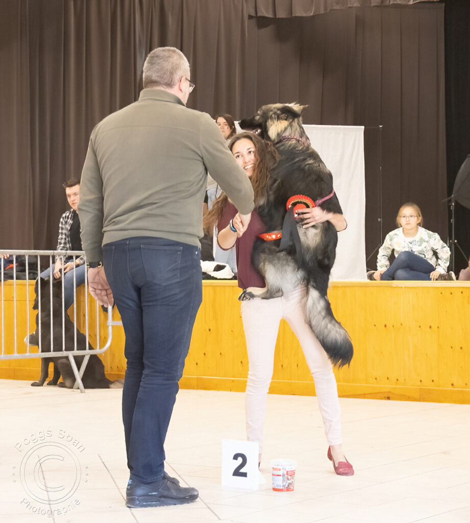 8U8A1359 copie-denoise-standard