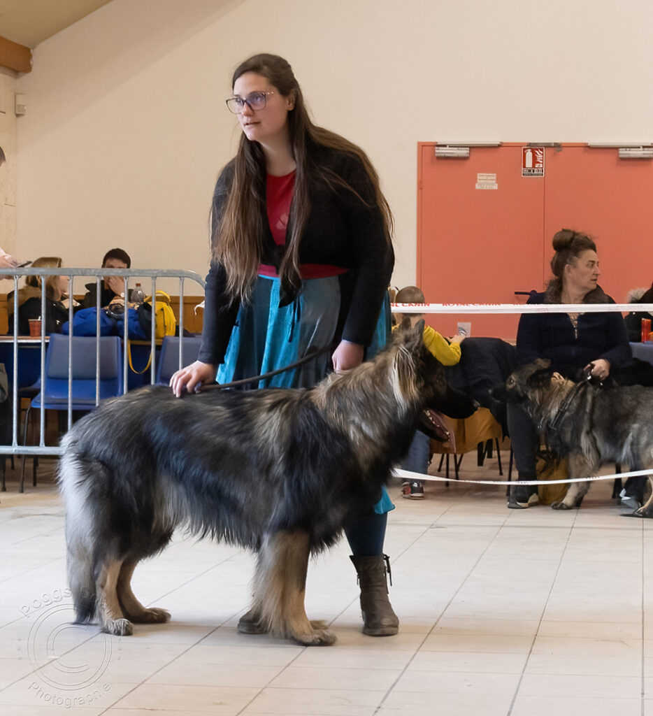 8U8A1479 copie-denoise-standard