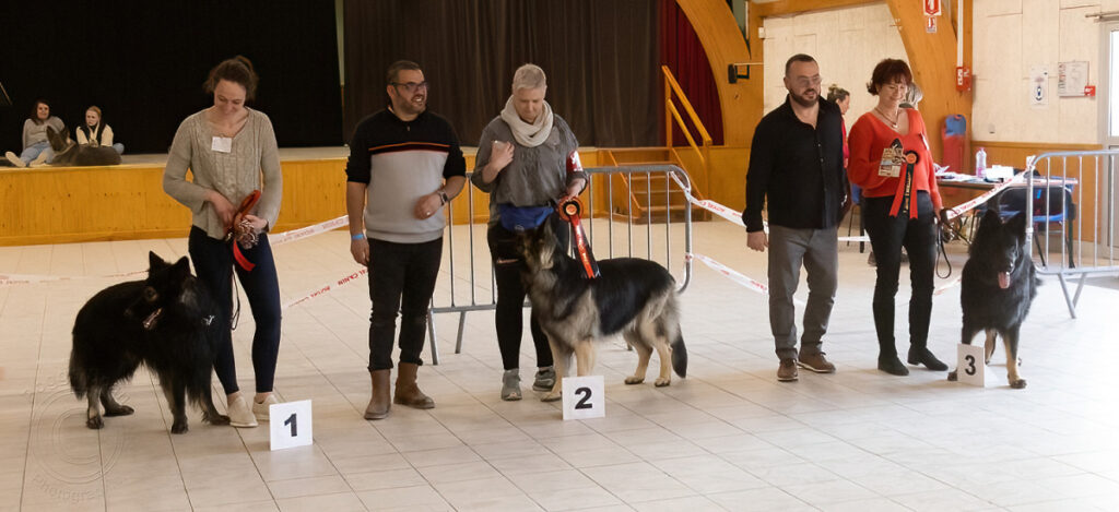 8U8A1551 copie-denoise-standard