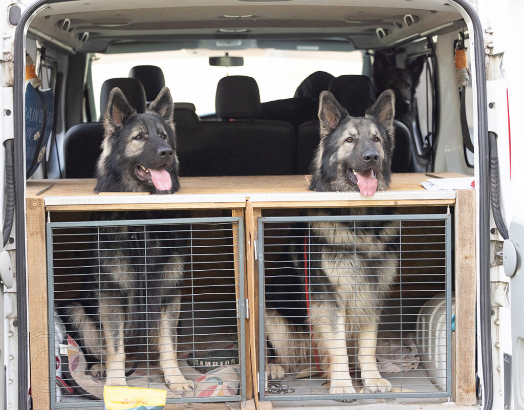 8U8A8818 copie